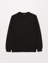 LC Waikiki Crew Neck Long Sleeve Men's Sweatshirt